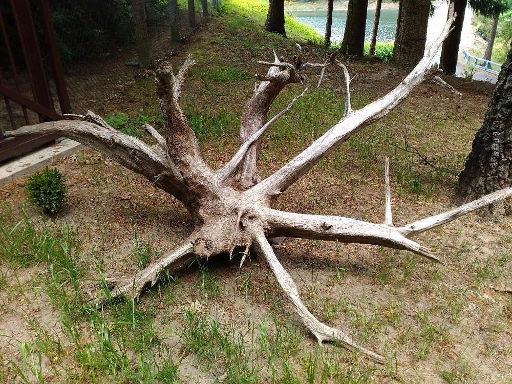 délka 270cm/výška 116/šířka160