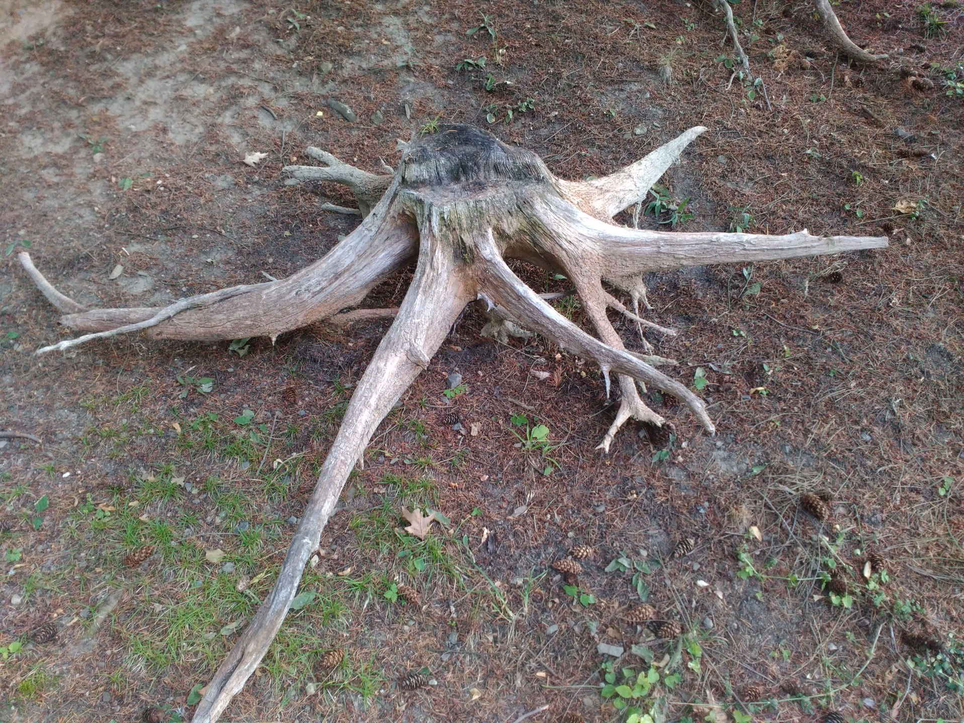 délka 275cm/ výška58/ šířka200