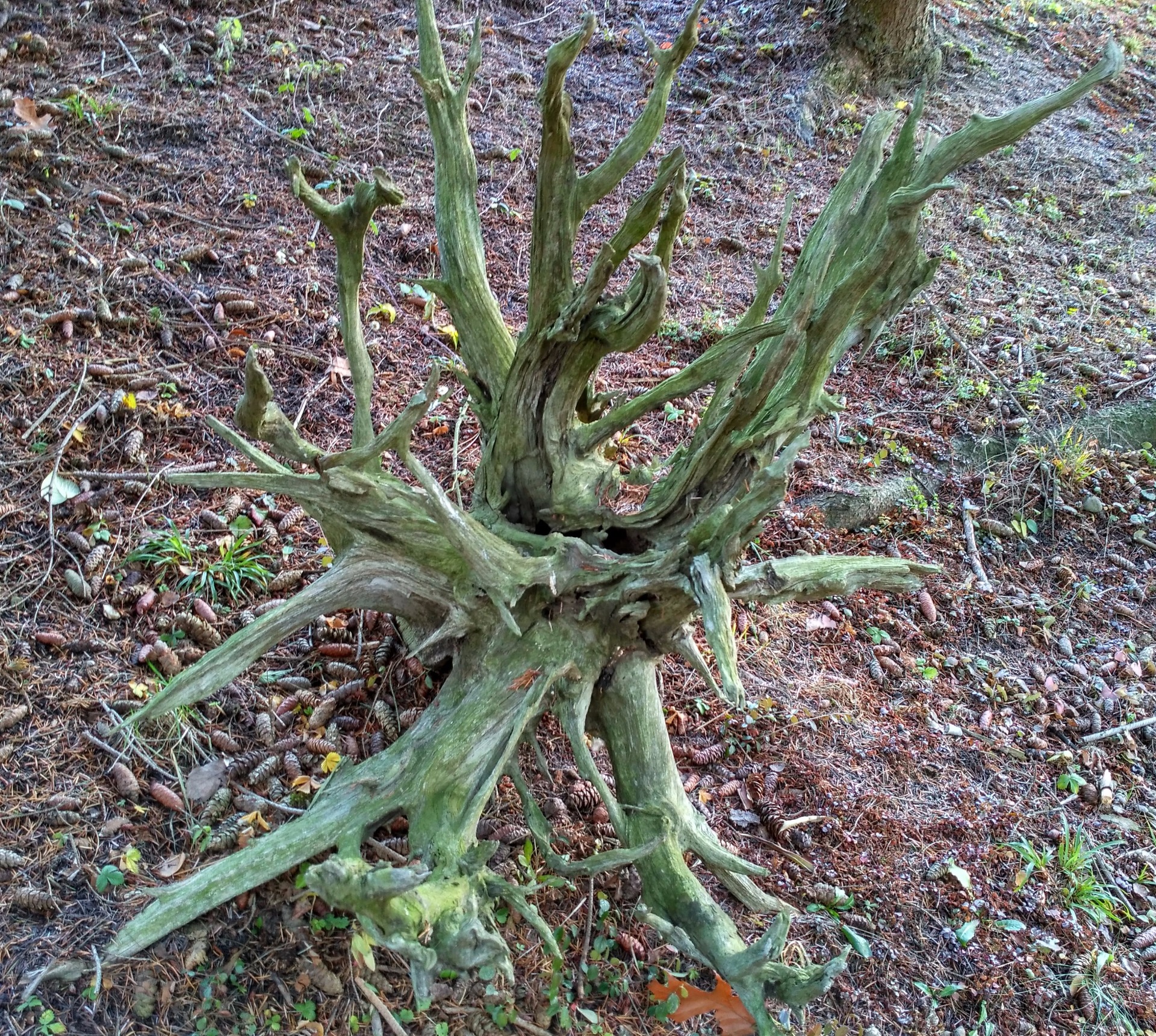 délka 135cm/ výška 110/ šířka 103