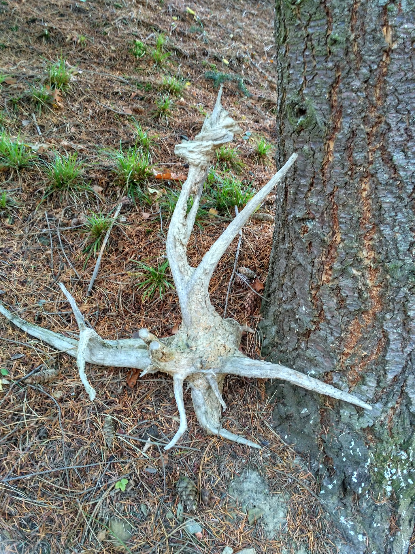 délka 102cm/ výška 101/ šířka 47