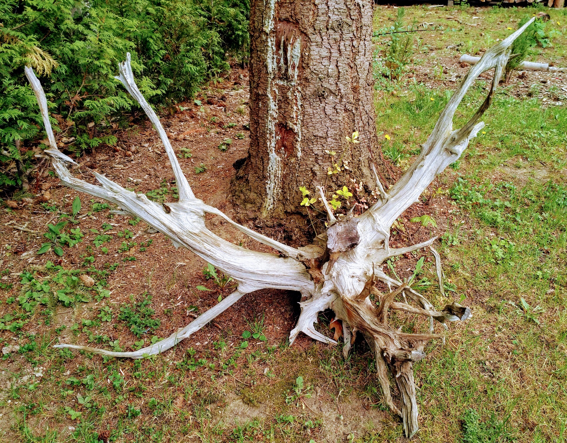 délka 164 cm/výška 90/šířka130