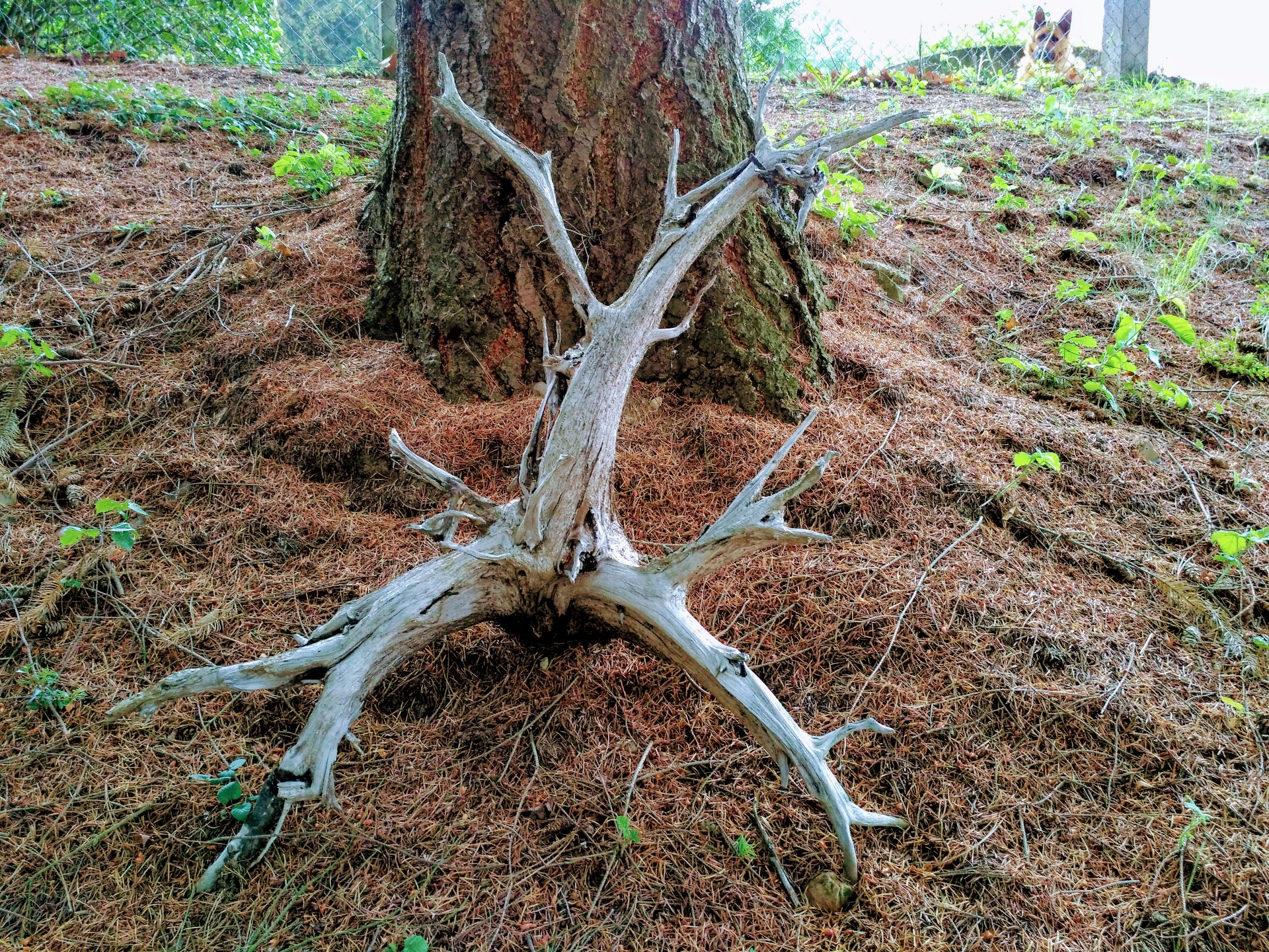 délka 102 cm/výška 101/ šířka 47