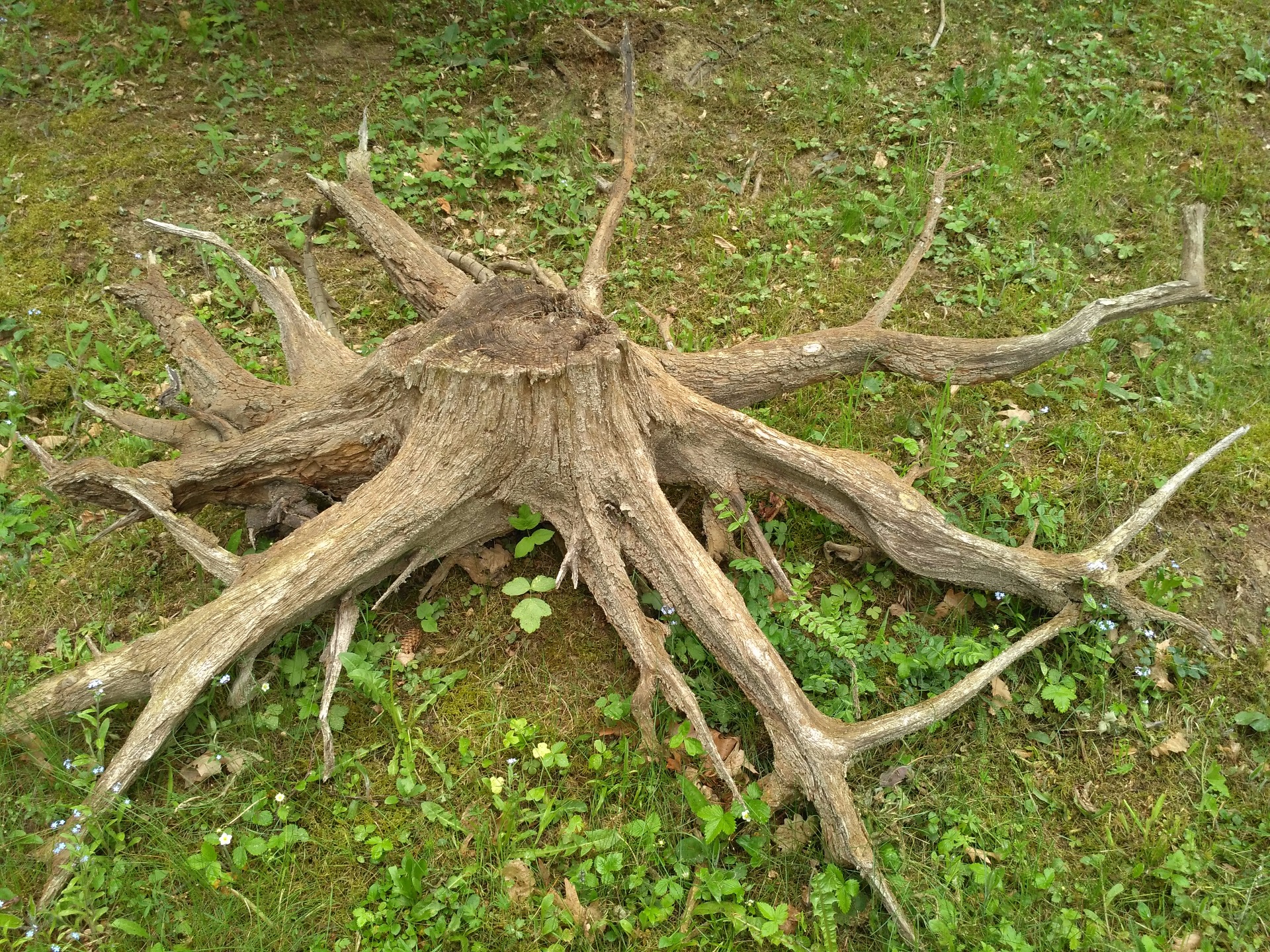 délka 250cm /výška 60/ šířka 210