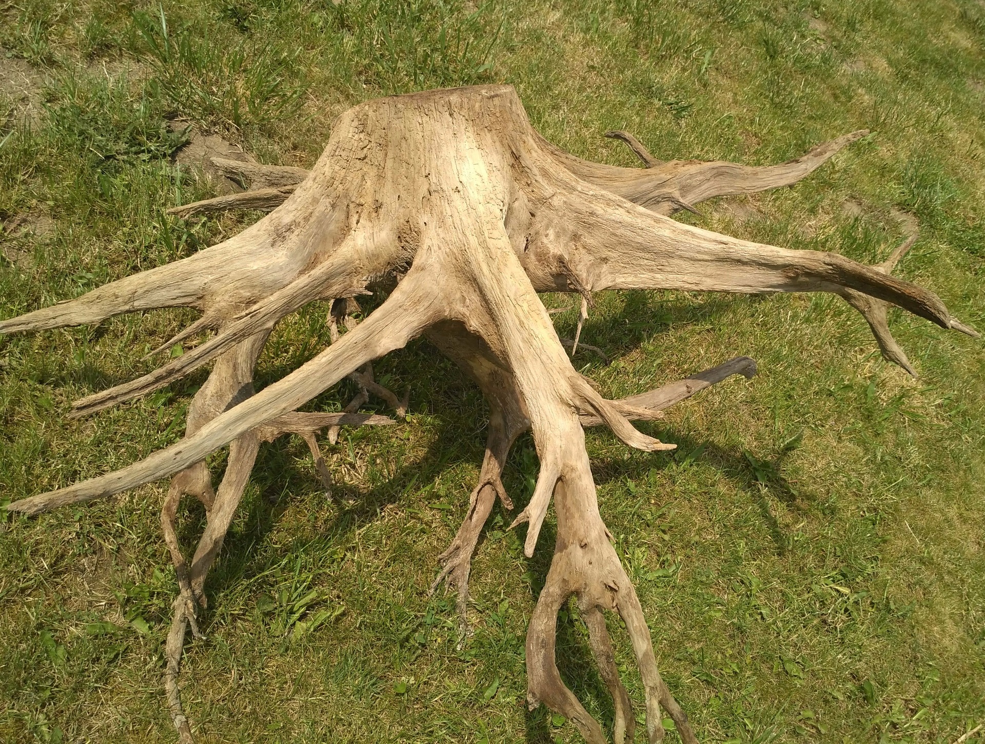 délka 155cm, výška 60, šířka 130