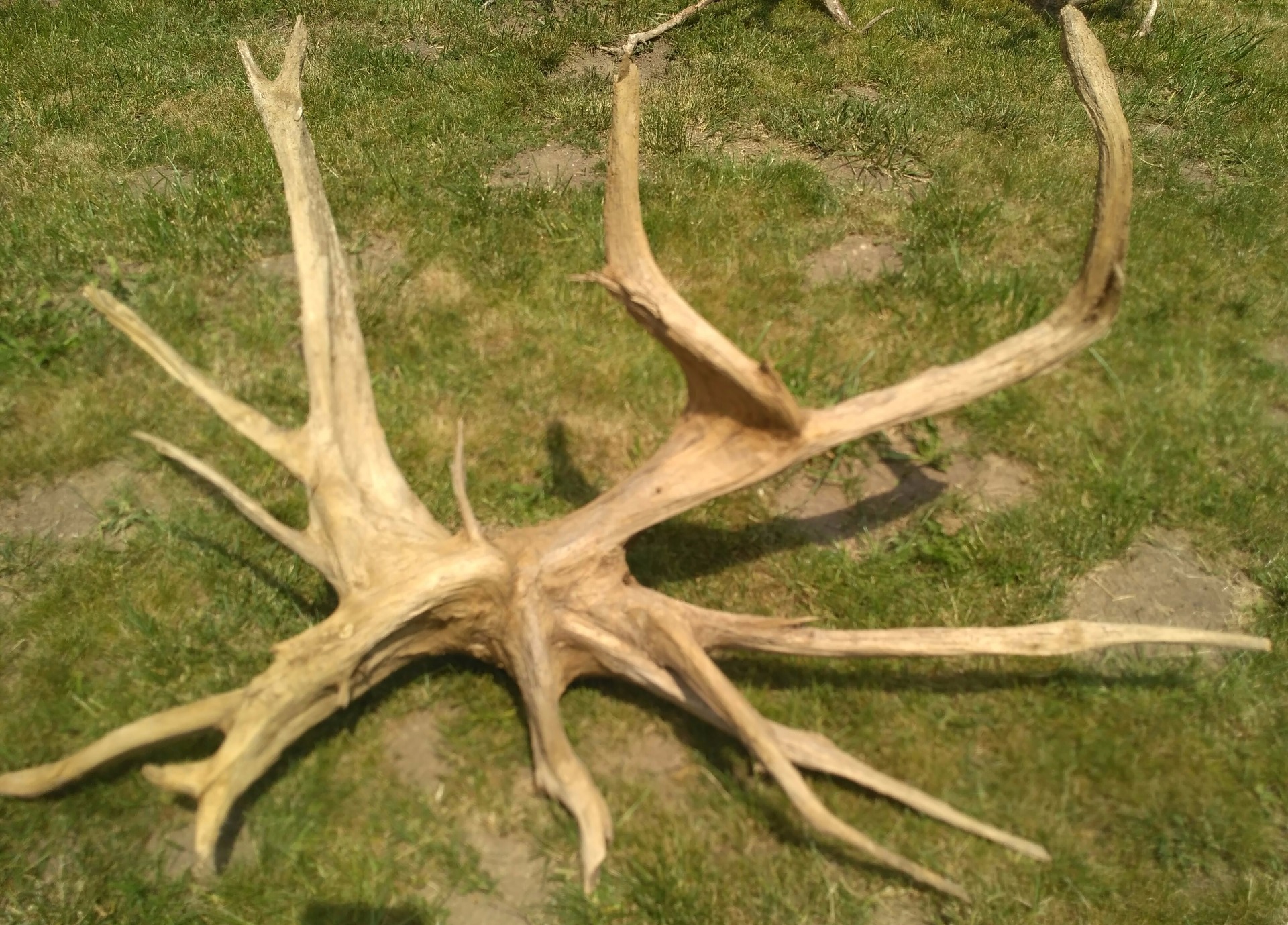 délka 150cm/ výška 92/ šířka59