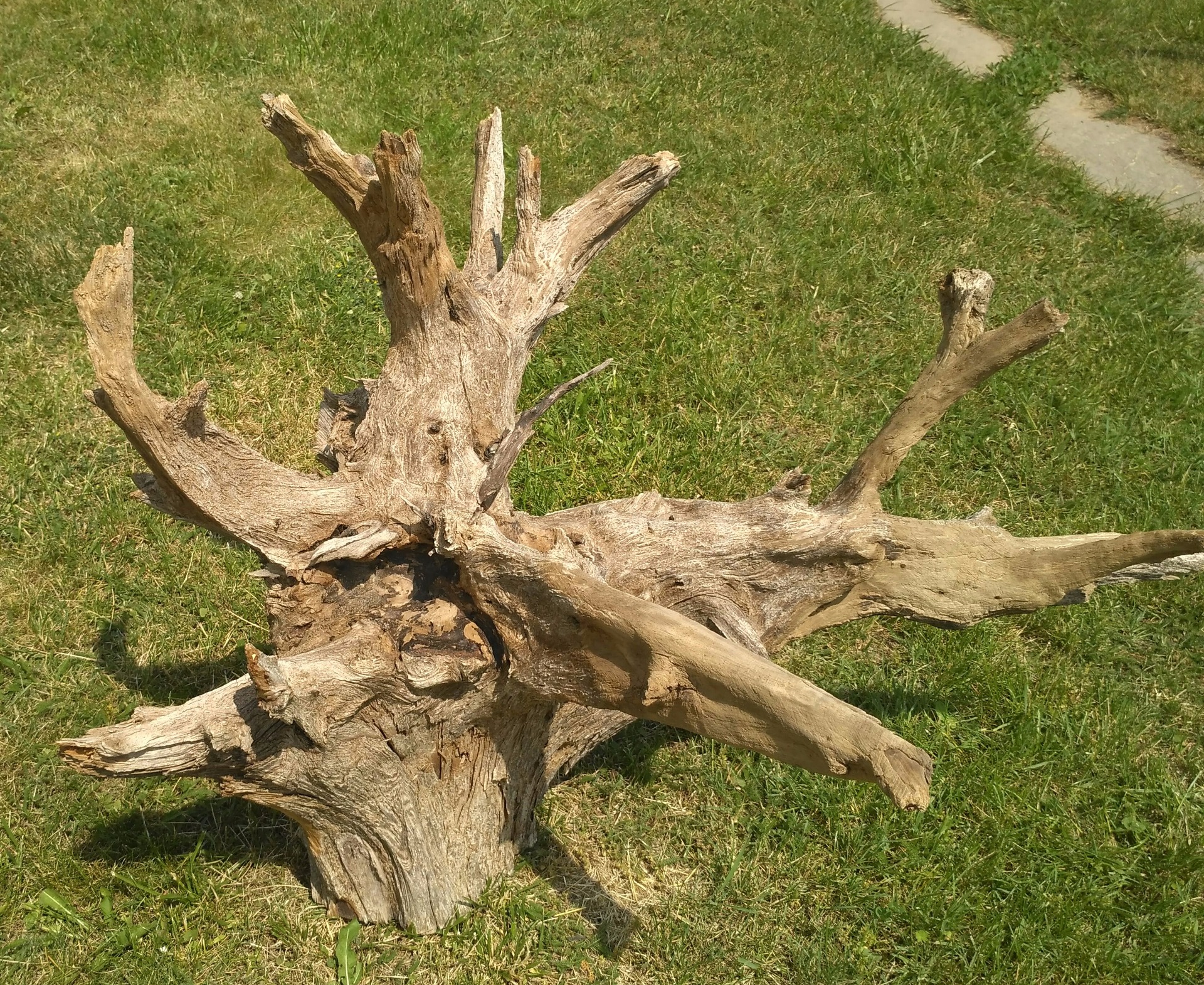 délka 100 cm/výška 78/šířka 78