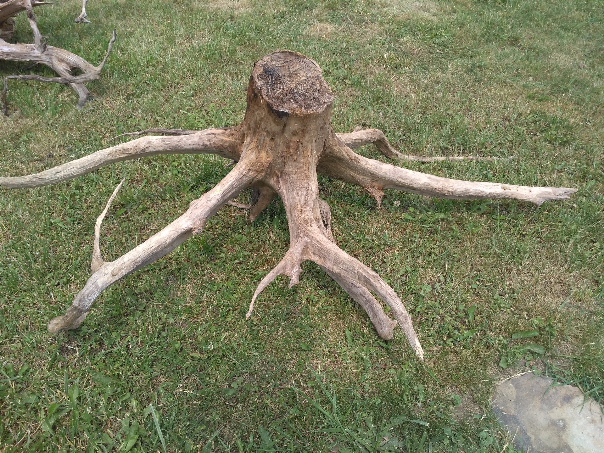 délka 159cm/ výška 50/šířka 89