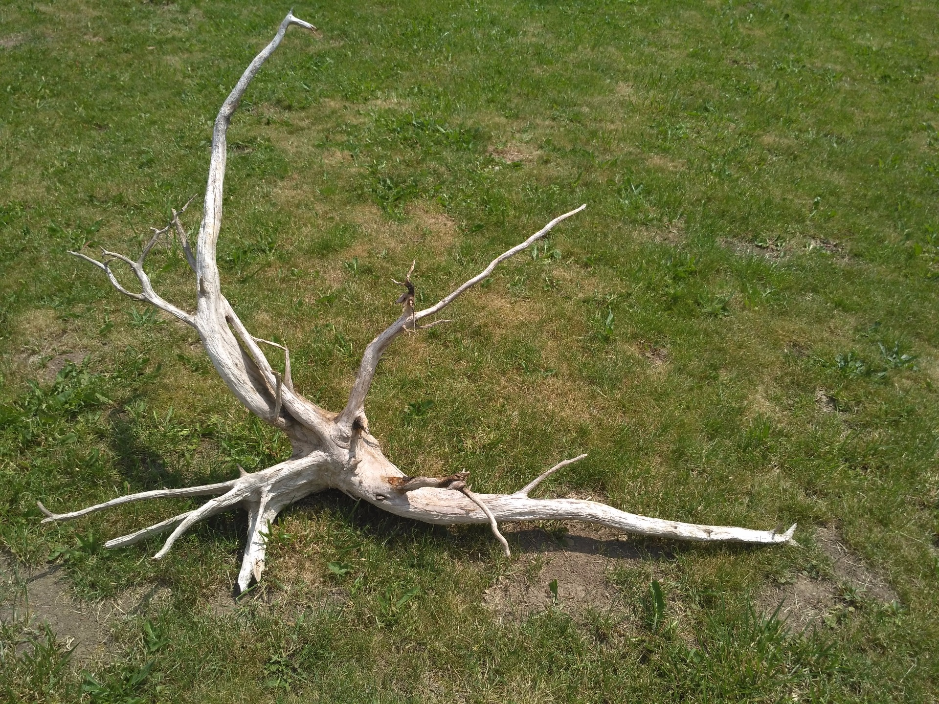 délka 158cm/výška 89/šířka42