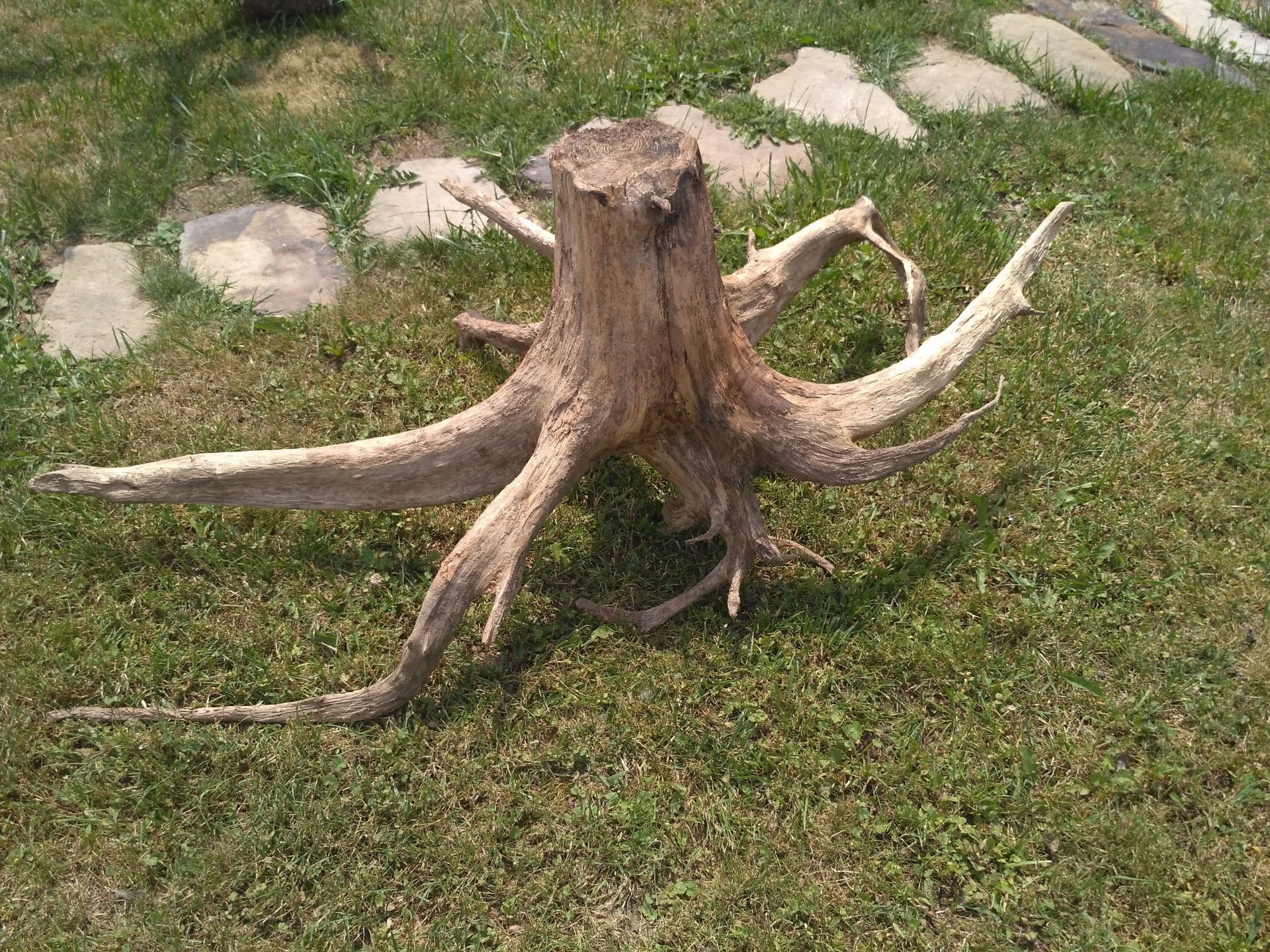 délka 160cm/ výška 51/ šířka 86