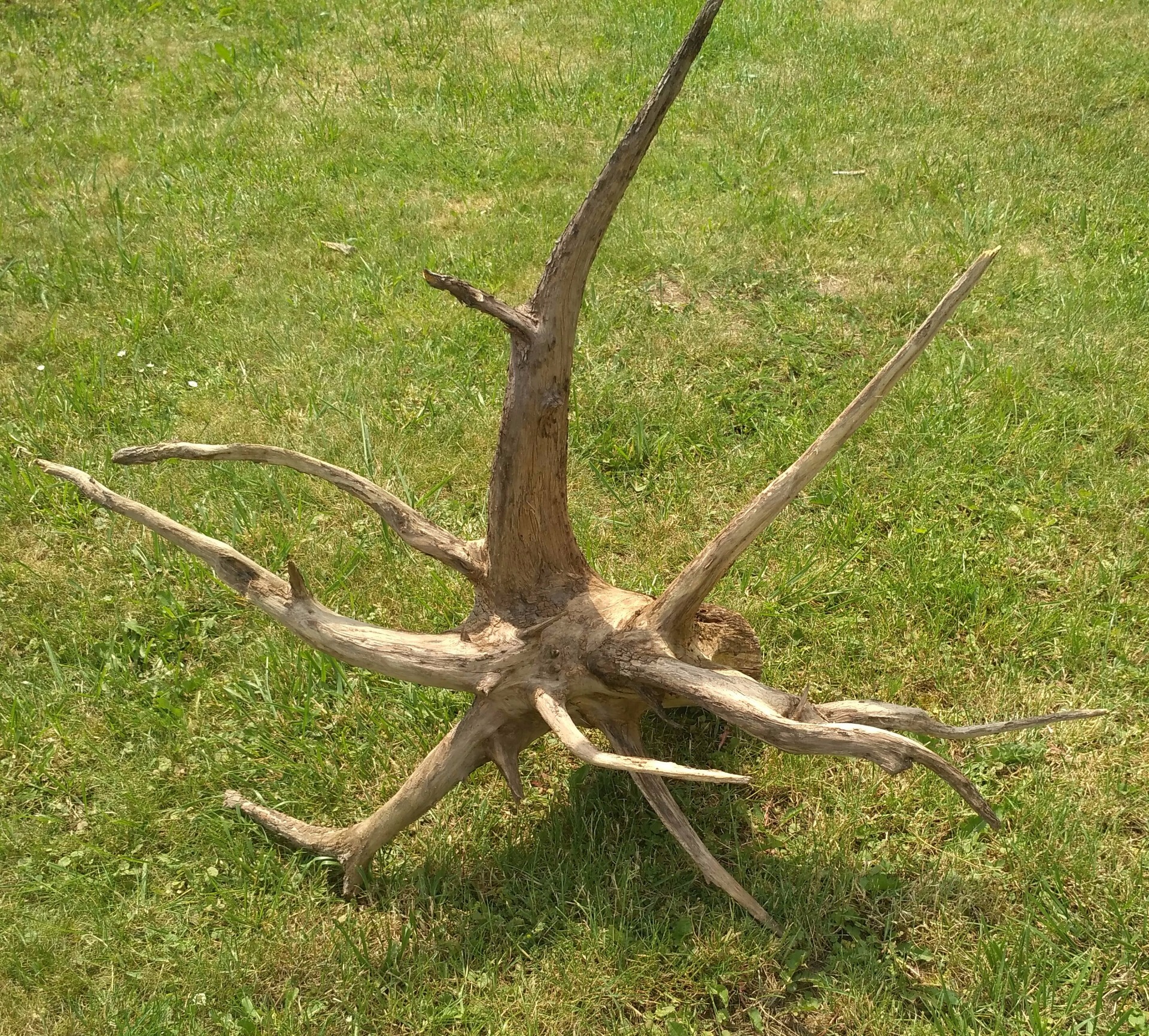 délka 100cm/ výška 93/šířka 53