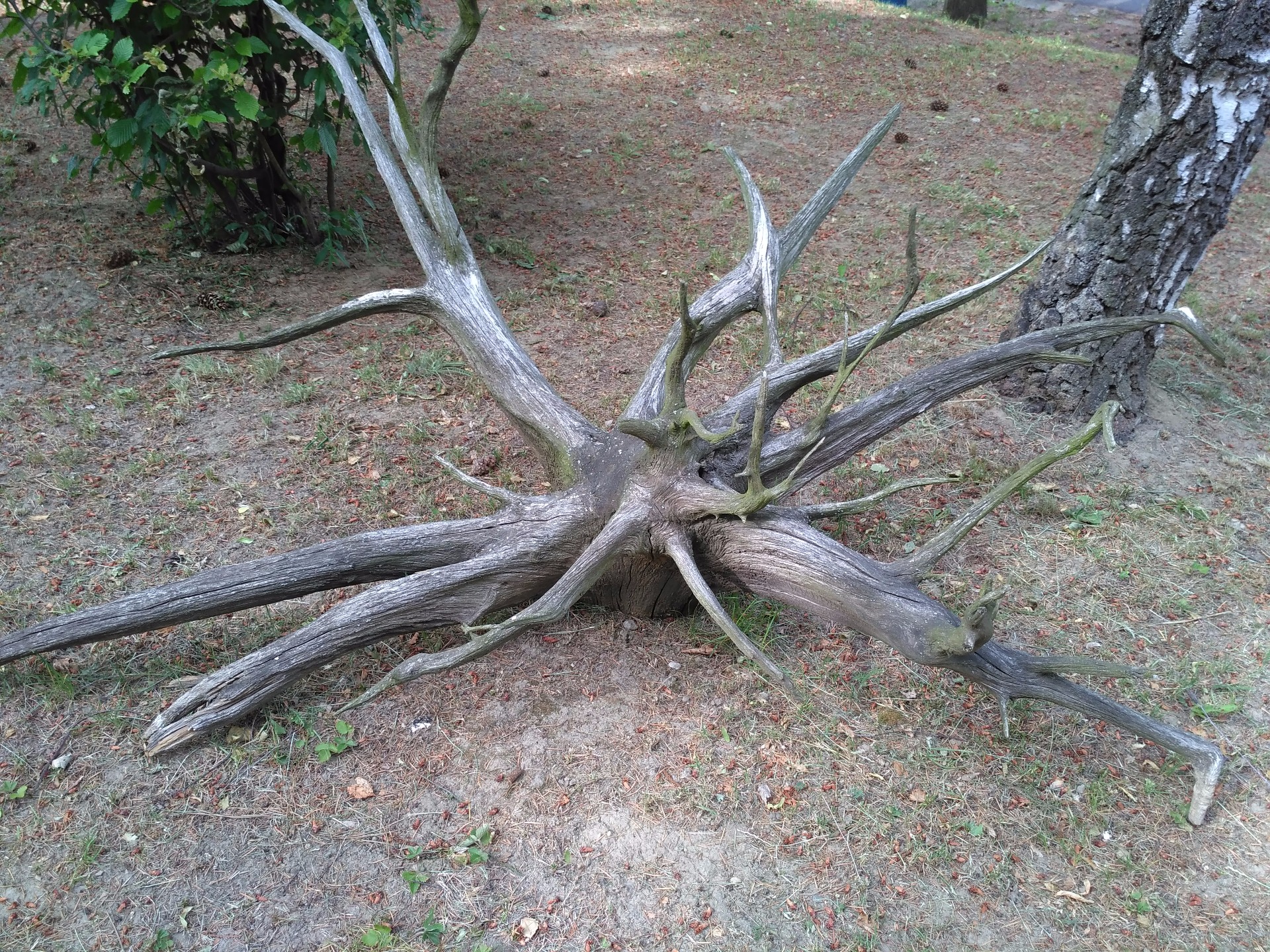 délka 200cm/ výška 90/ šířka 93