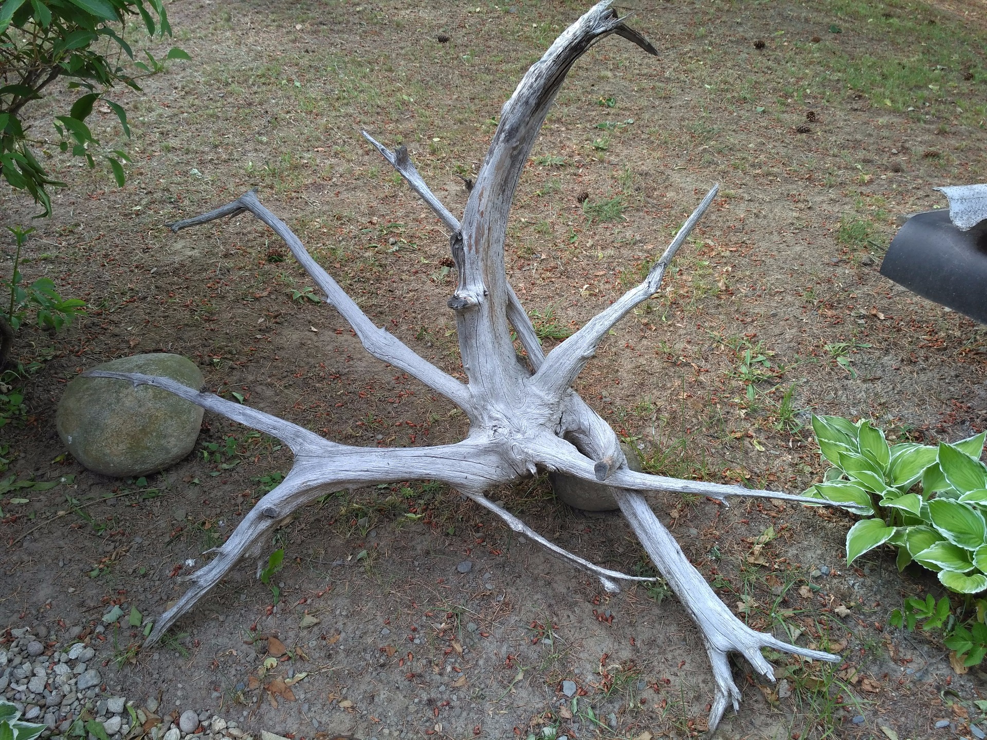 délka 131cm, výška 82/ šířka 59