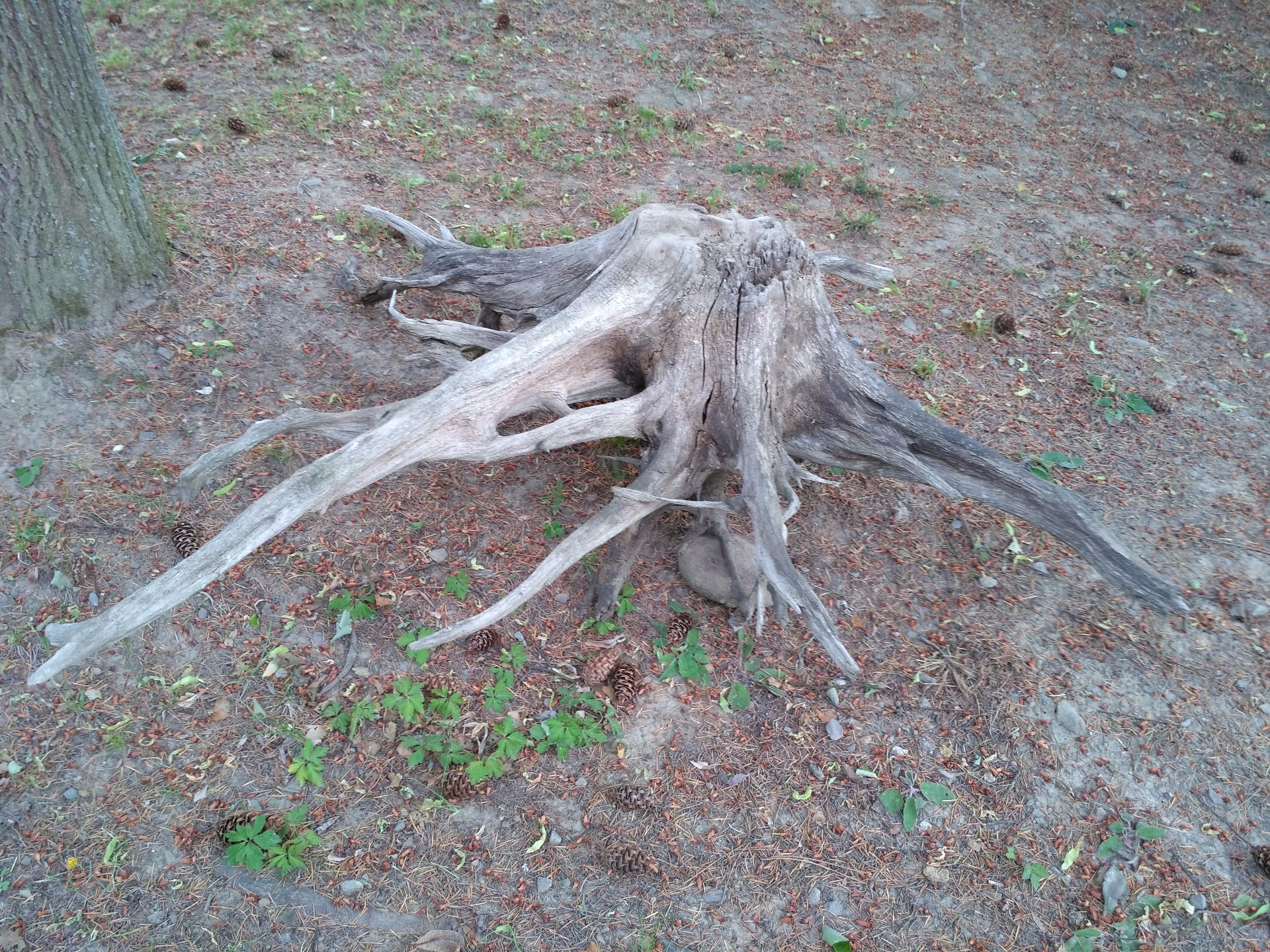 délka 130cm/ výška 50/ šířka 120