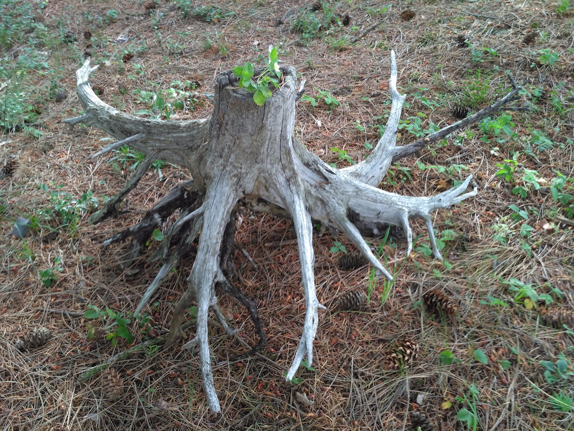 délka 92cm/výška 45/šířka 74cm