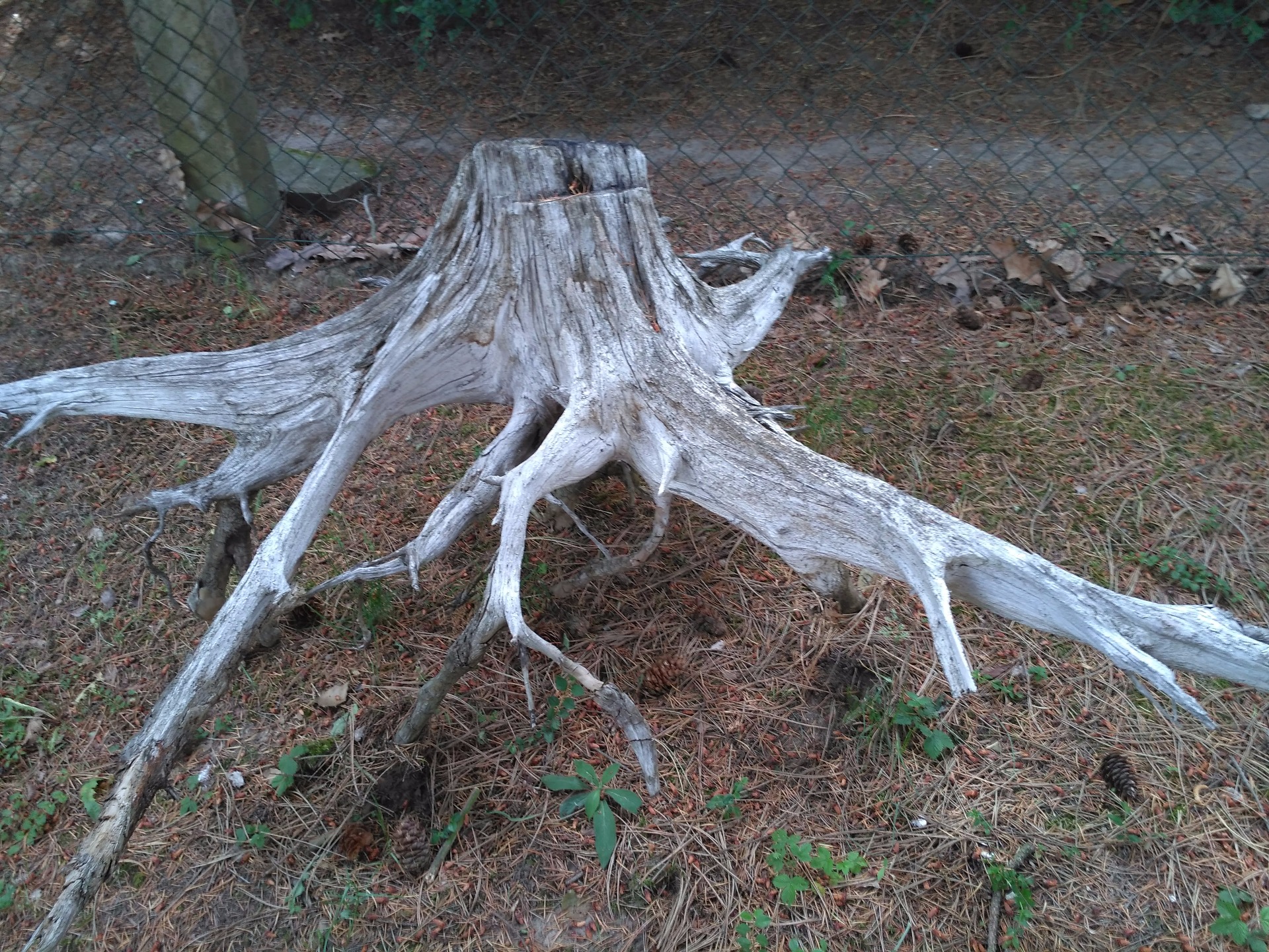 délka 190cm/ výška 70/šířka 85