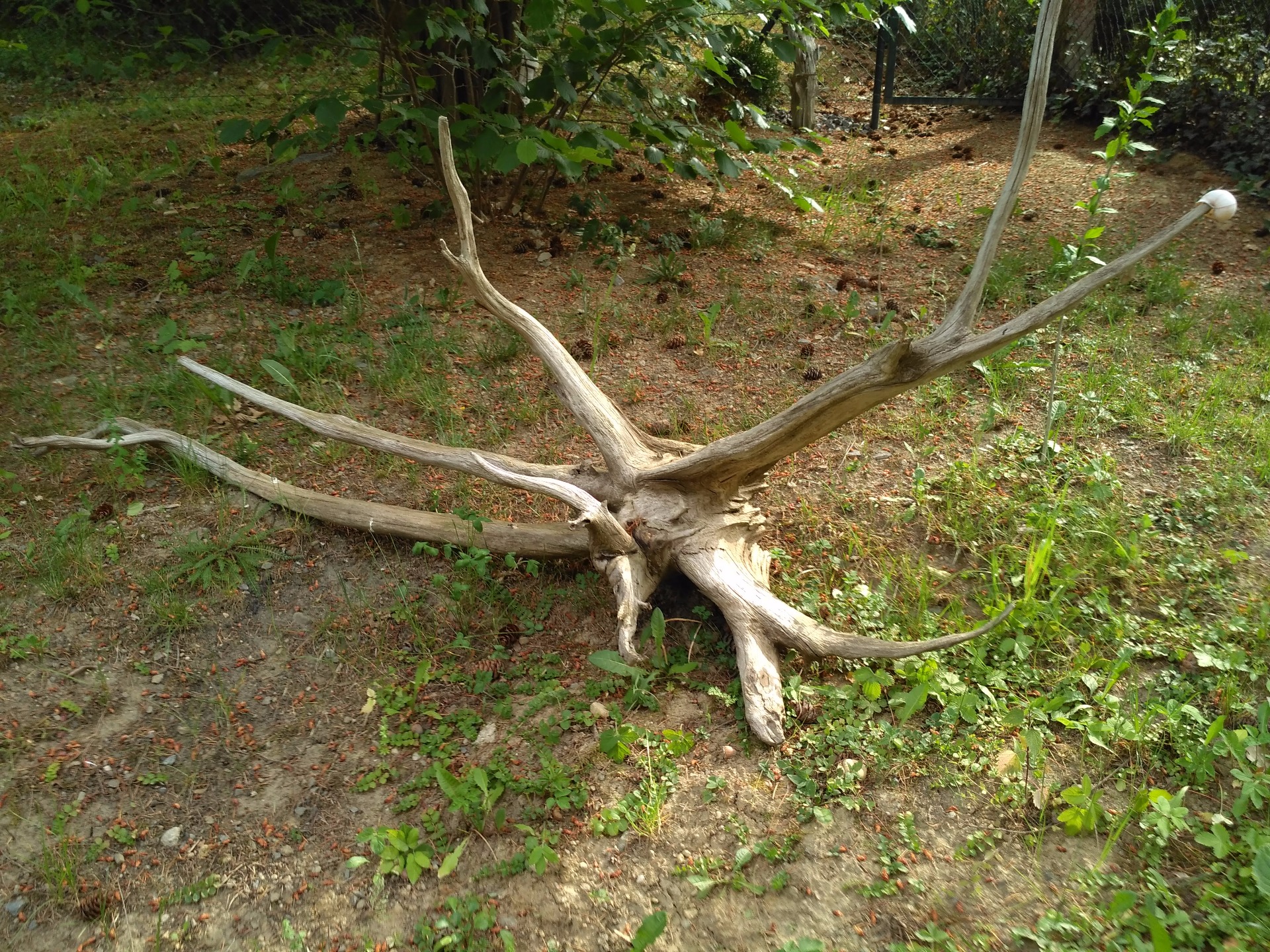 délka 220cm/výška 135/ šířka 60