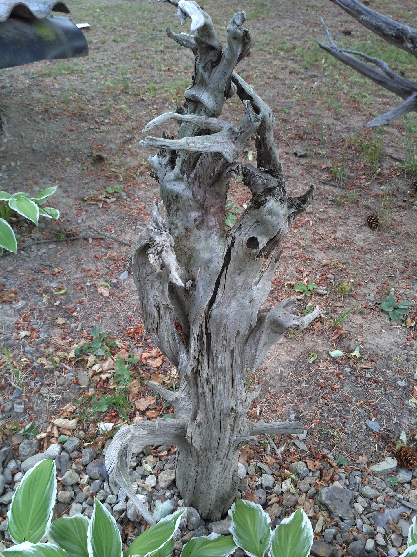 délka 33cm/ výška 85/šířka 26