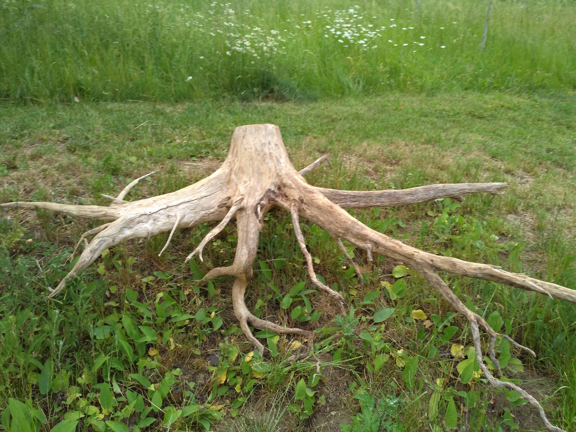 délka 186cm, výška 70, šířka 165