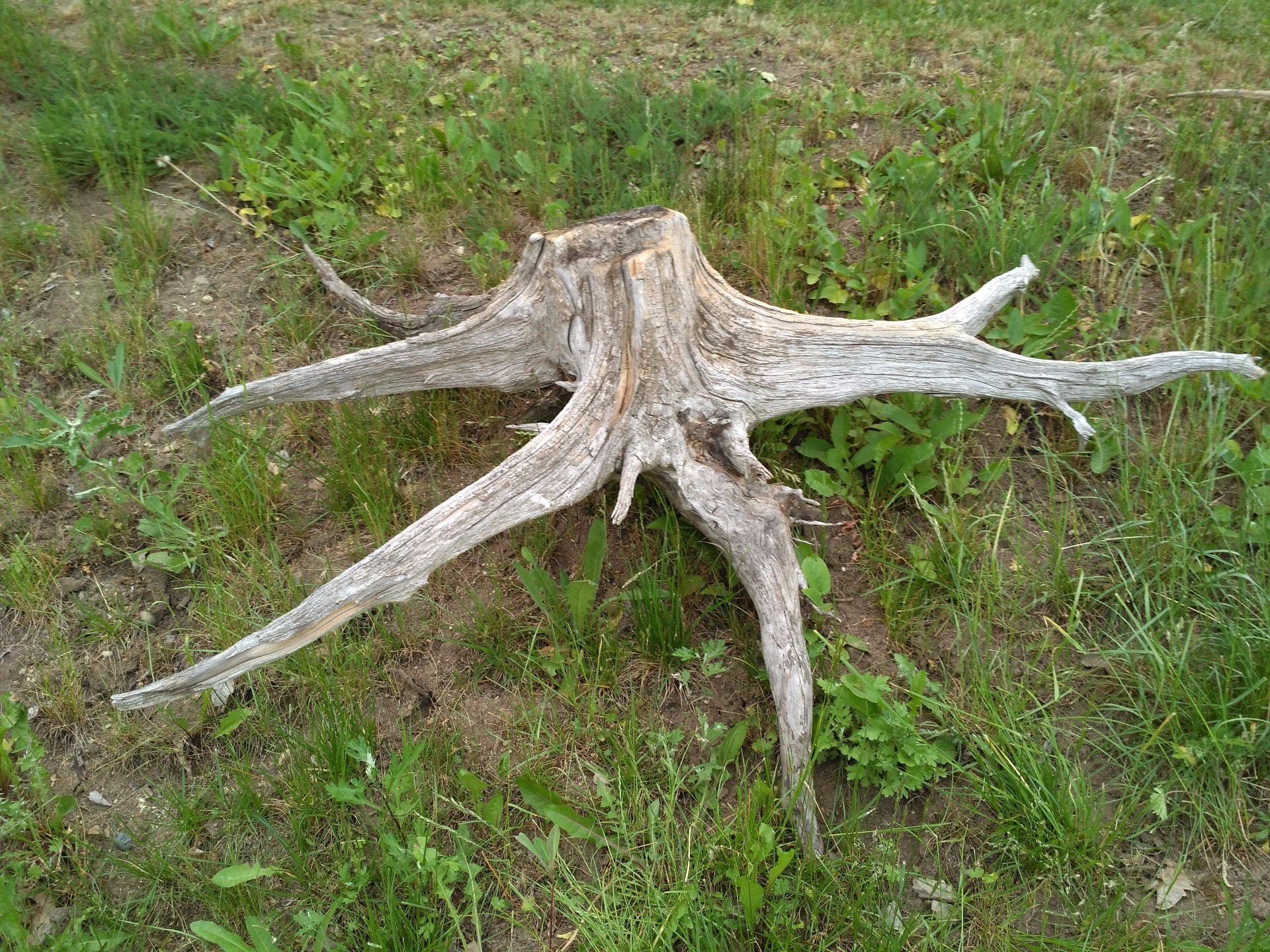 délka 160cm/ výška 56/ šířka 85