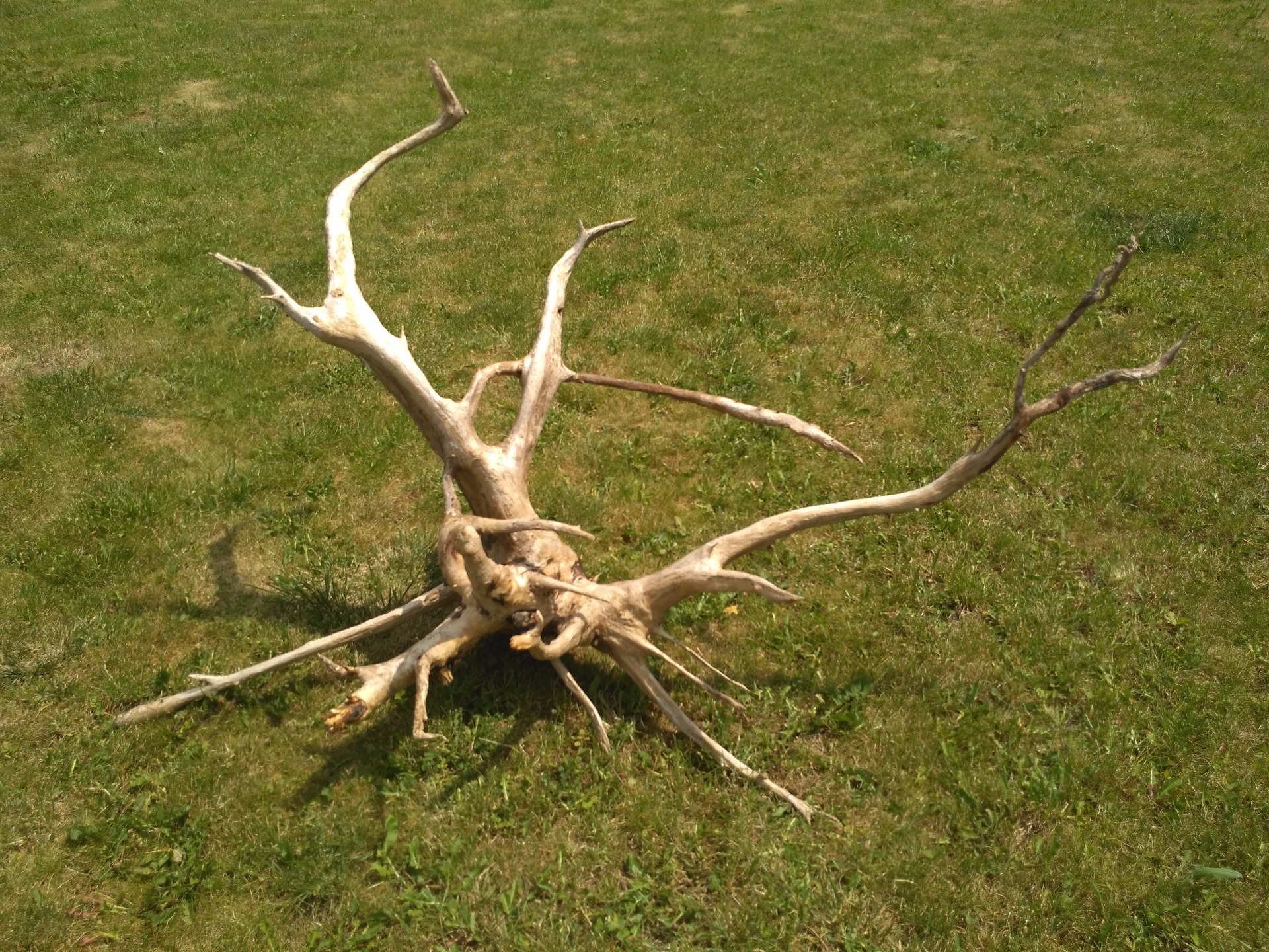 délka 146cm/ výška 94/ šířka 80